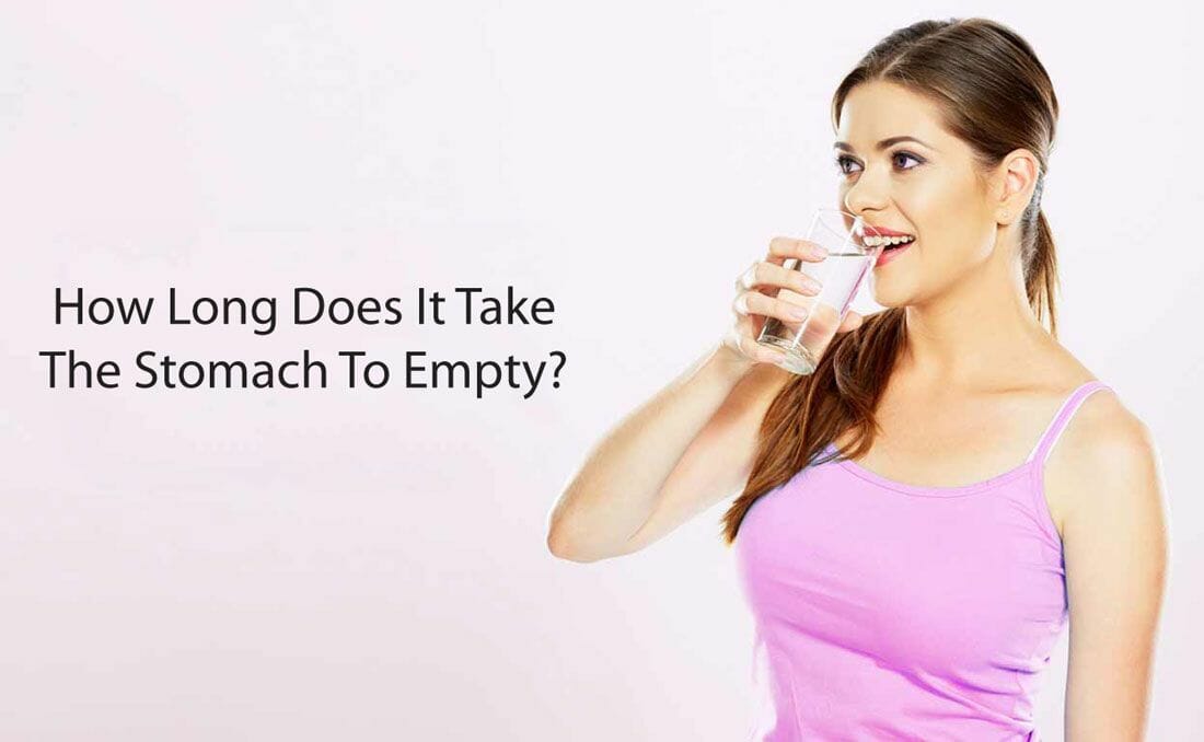 How-Long-Does-It-Take-The-Stomach-To-Empty How Long Does It Take For Solid To Digest