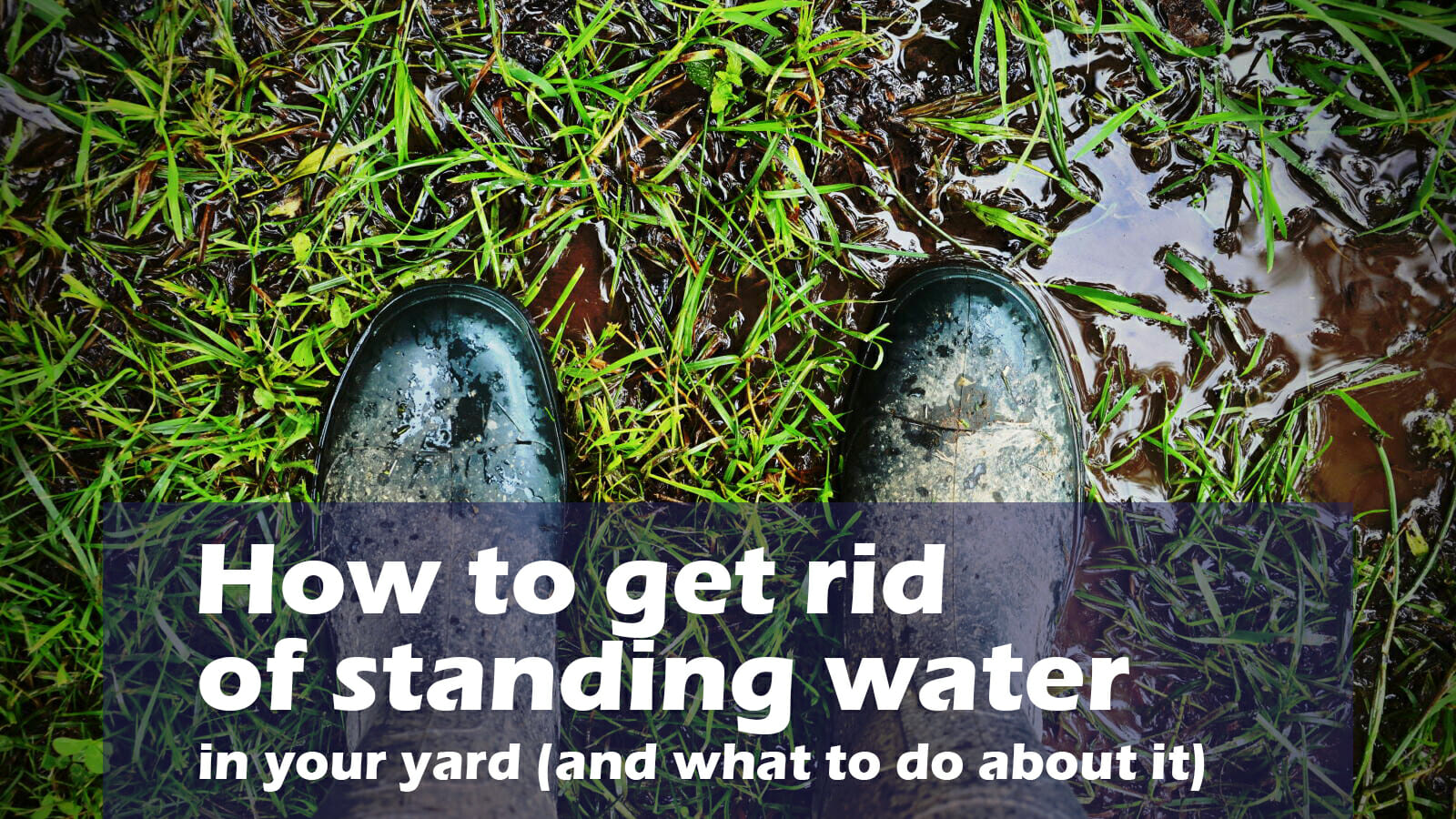 6 Ways To Get Rid Of Standing Water In Your Yard A Guide