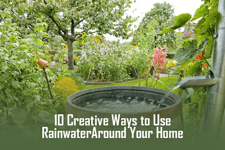 10 Creative Ways To Use Rainwater Around Your Home
