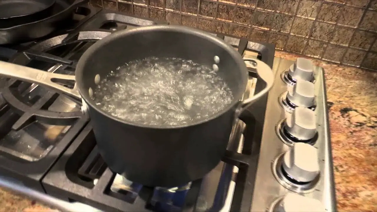 How Long Does It Take To Boil Tap Water To Purify? Water Evidence