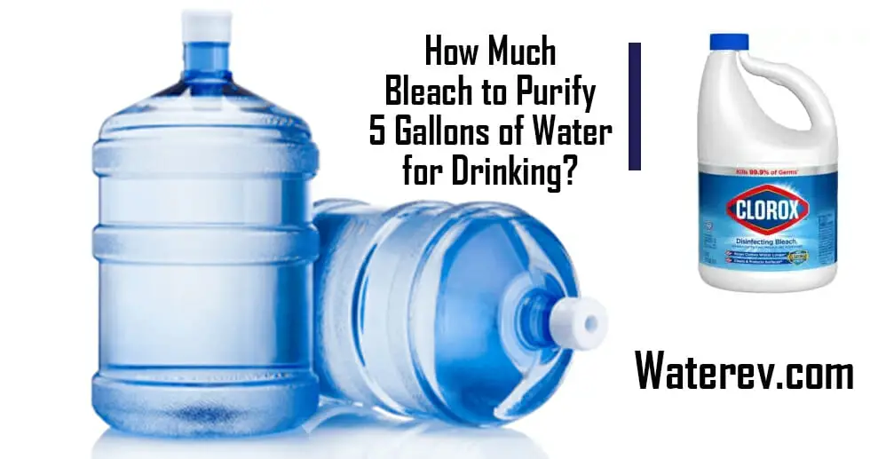 Bleach gallon water at cindy larson blog