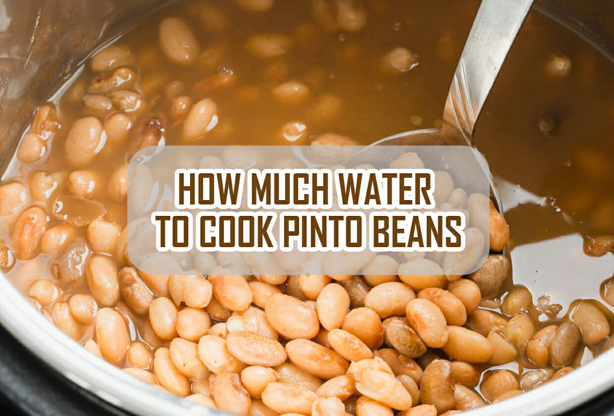 How Much Water To Cook Pinto Beans A Slow Cook Guide 