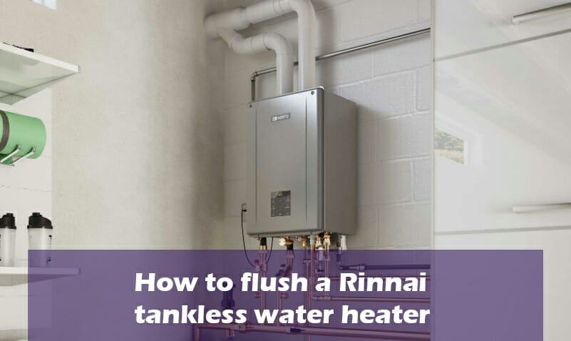 how-to-flush-a-rinnai-tankless-water-heater-in-10-steps