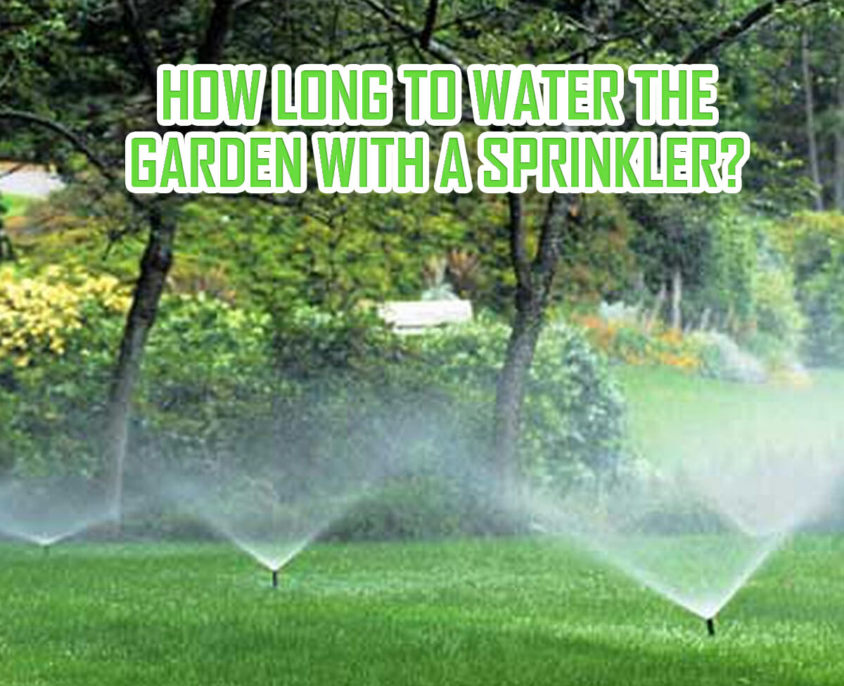 How Long To Water The Garden With A Sprinkler? Tips To Make A Schedule