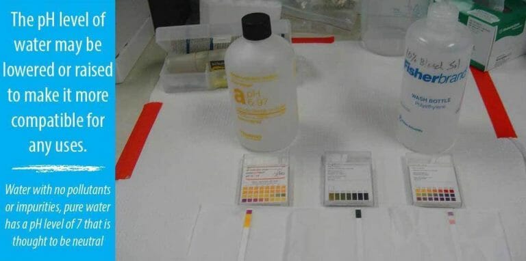 How To Change The pH Of Water? {The Effective Way}