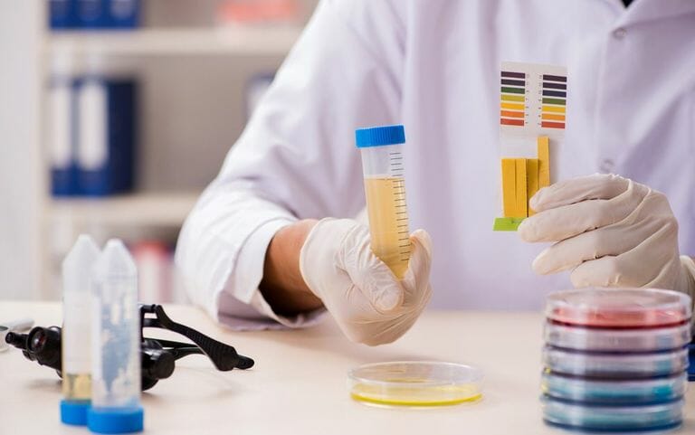 How to Read a pH Meter: Easy Step by Step Guide?