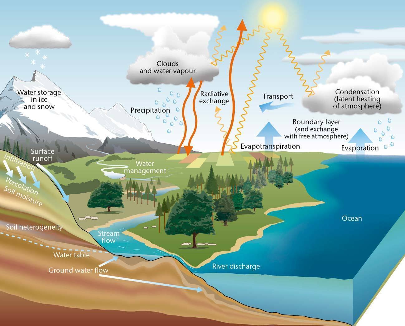 research about water cycle