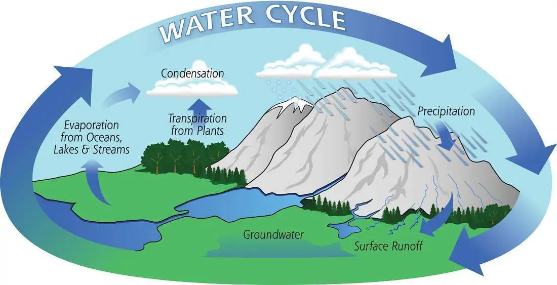 The Water Cycle Definition, Diagram, Model, Evaporation, Video And Many
