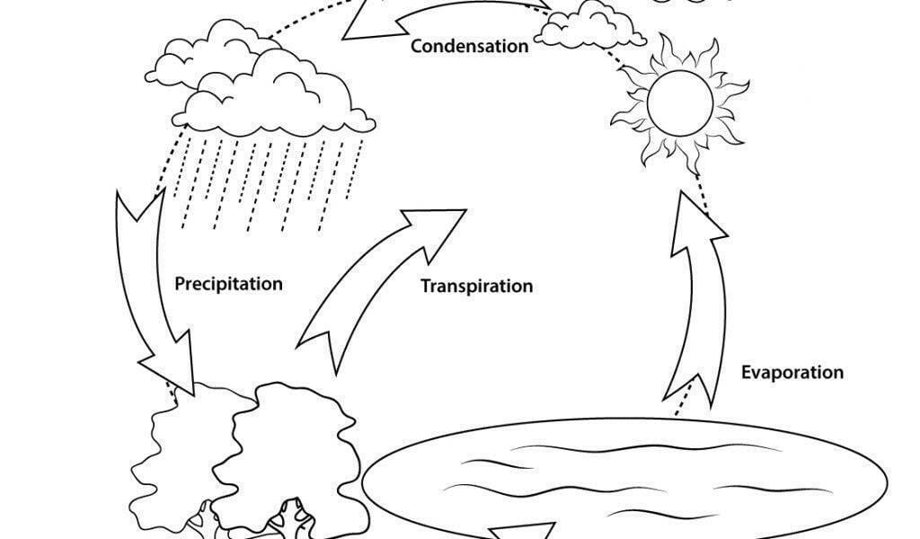 The Water Cycle Definition! Easy Science Lesson for Kids