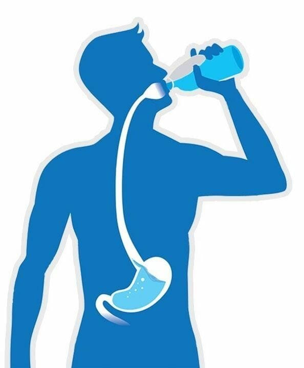 How Long Does Water Stay In The Stomach how long does water stay in the stomach
