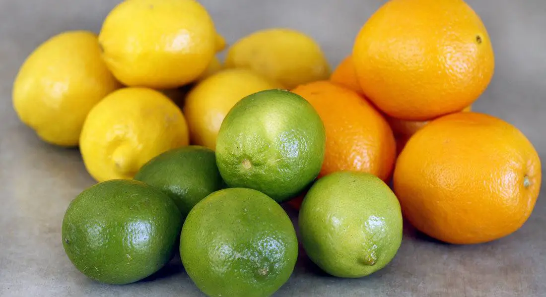 Orange,-lime-and-lemon Orange, Lime, and Lemon