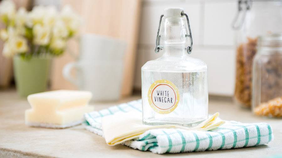 Using-Vinegar Using Vinegar