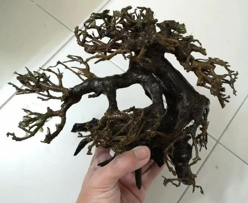 Place-Driftwood-in-Your-Fish-Tank-for-Natural-Filtration-and-Decoration Place Driftwood in Your Fish Tank for Natural Filtration and Decoration