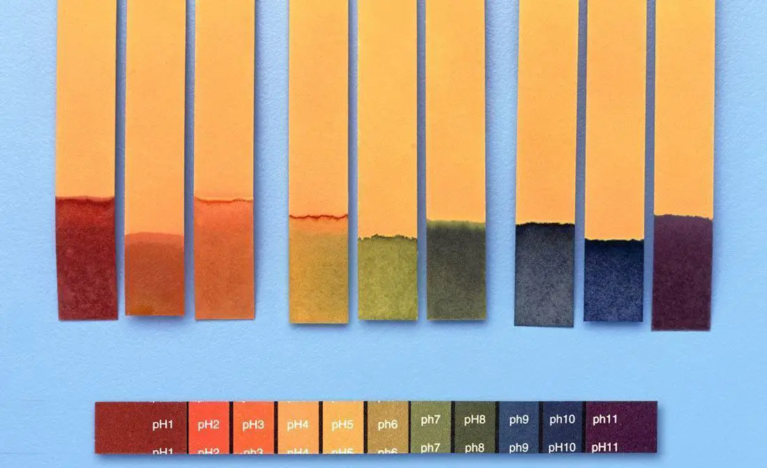 Use-a-pH-paper Use a pH paper