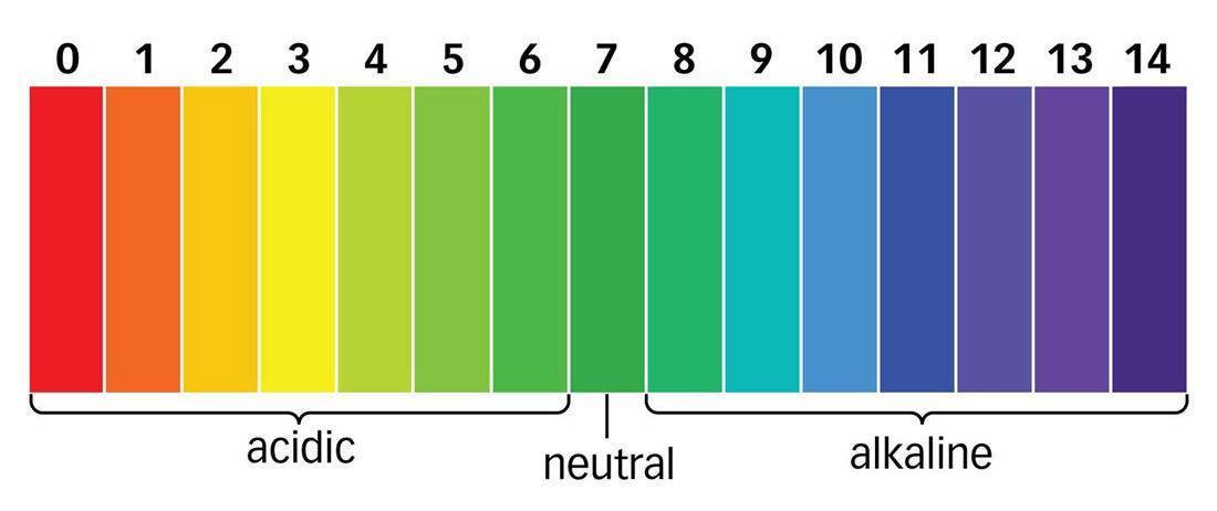 What-Is-the-pH-Scale What is the pH Scale?