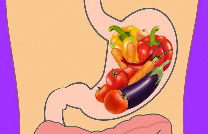 how long does it take for your stomach to empty