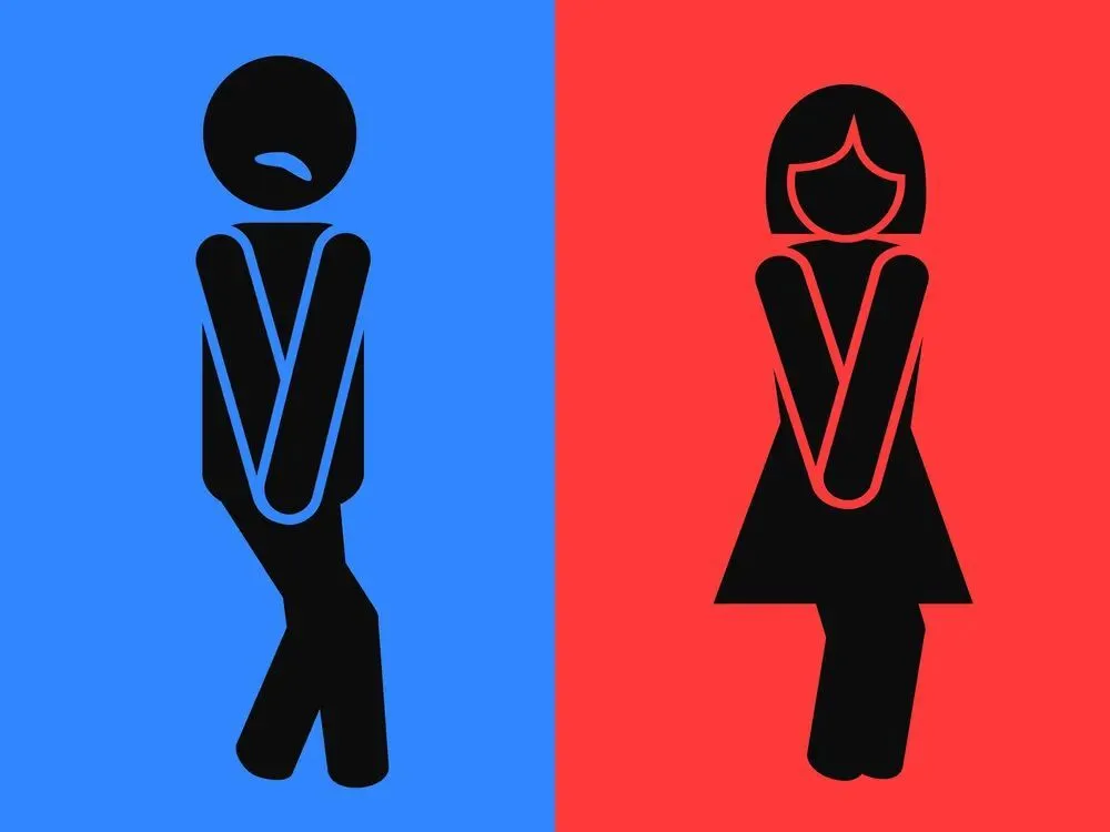 How long does it take for water to become urine